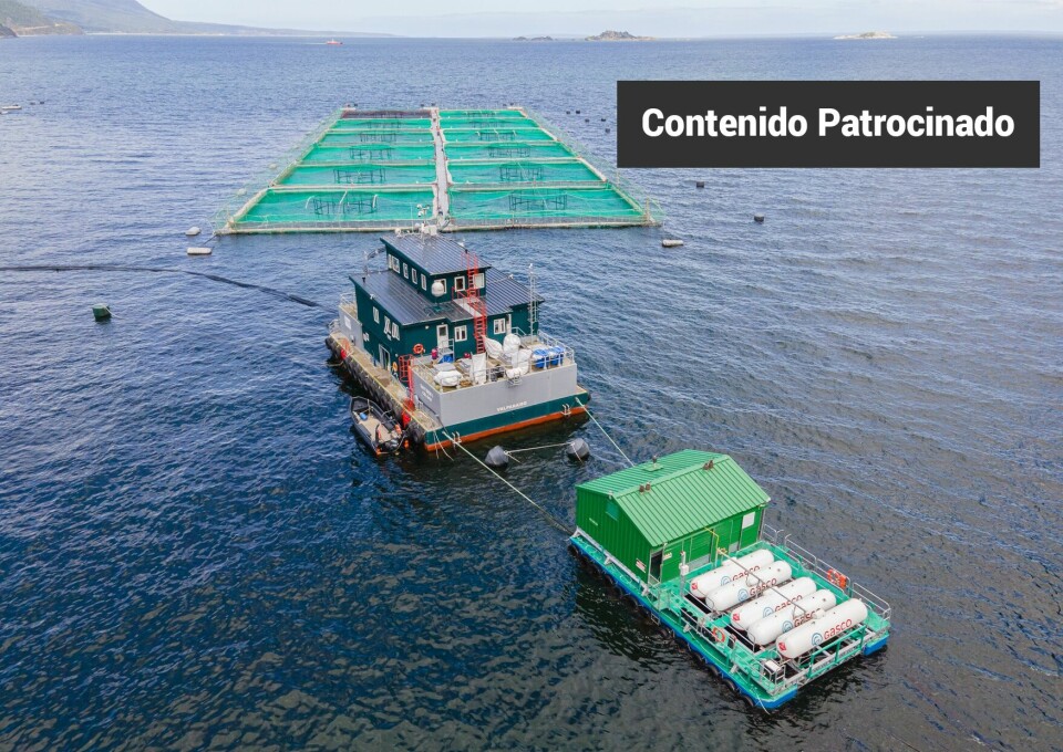 Gasco continúa desplazando el diésel en las operaciones de salmones Aysén con plataformas de generación de energía con gas licuado.