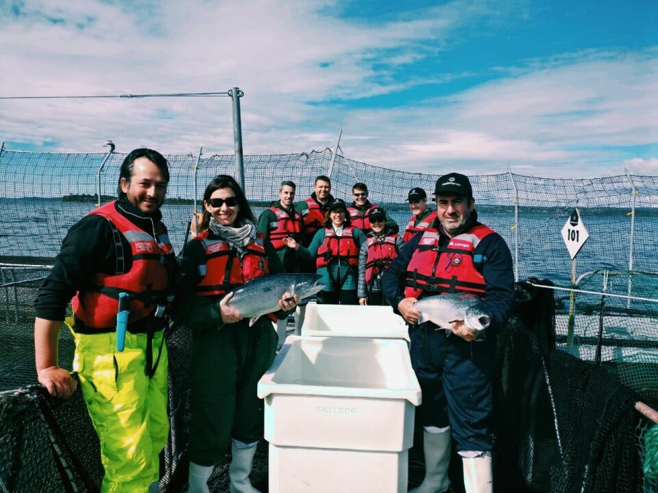 La Embajadora de Canadá en Chile, Patricia Peña, encabezó delegaciones diplomáticas de su país y del Reino Unida a instalaciones de Marine Harvest. Foto: Marine Harvest.