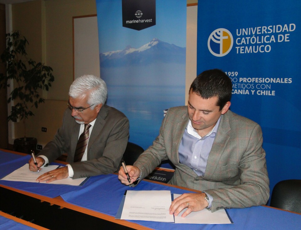 Marine Harvest y UCT firmaron acuerdo de colaboración