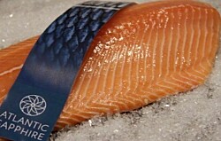 Megaproyecto Atlantic Sapphire obtiene precios récord para su salmón