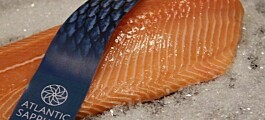 Megaproyecto Atlantic Sapphire obtiene precios récord para su salmón