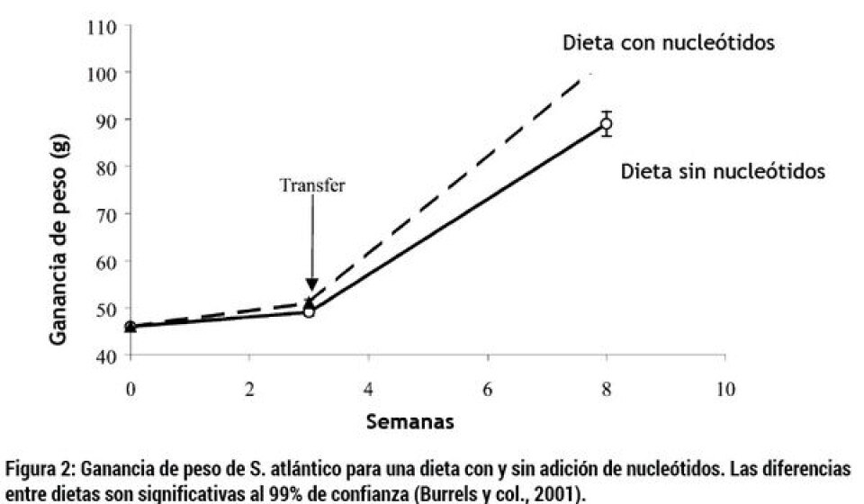 Mejorando la condición fisiológica del pez a través del manejo nutricional