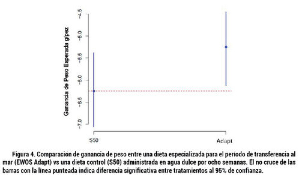 Mejorando la condición fisiológica del pez a través del manejo nutricional