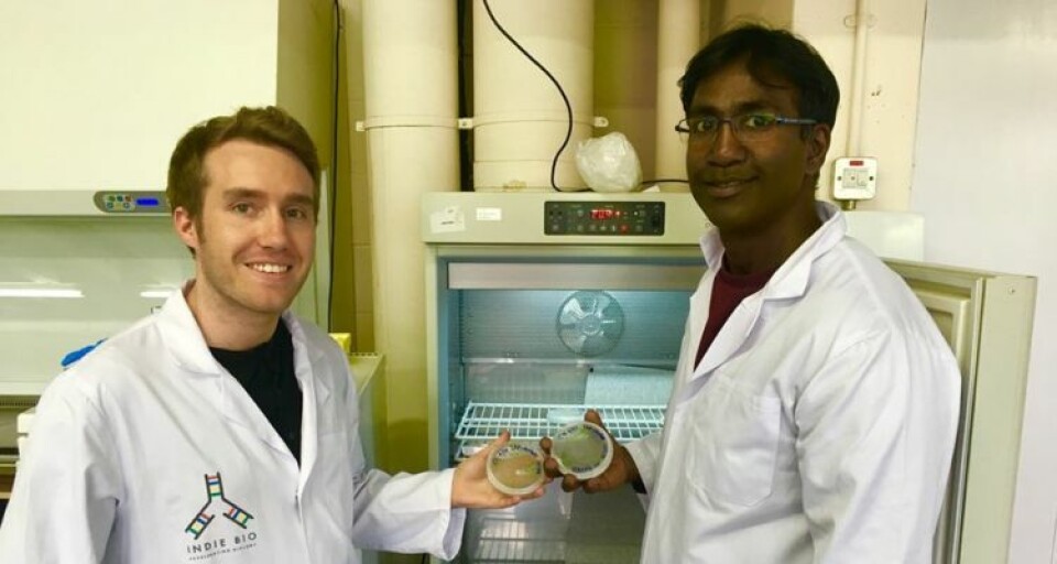 Antonio Lamb, director de operaciones y cofundador de MicroSynbiotiX, con Simon Jegan Porphy, director ejecutivo y cofundador. Foto: GAA