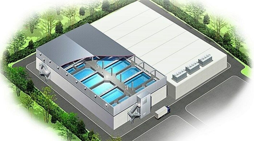 Imagen: Mitsui & Co Imagen: Mitsui & Co