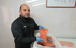 Modernizarán única sala de ventas que distribuye salmón en todo Aysén