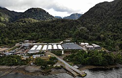 Mowi Chile: Ampliación de piscicultura integra tecnología sustentable