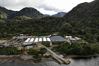 Proveedores salmonicultores de Aysén incorporan la innovación en sus procesos