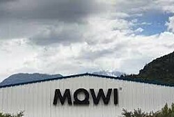 Mowi concretará producción histórica de salmón en Chile