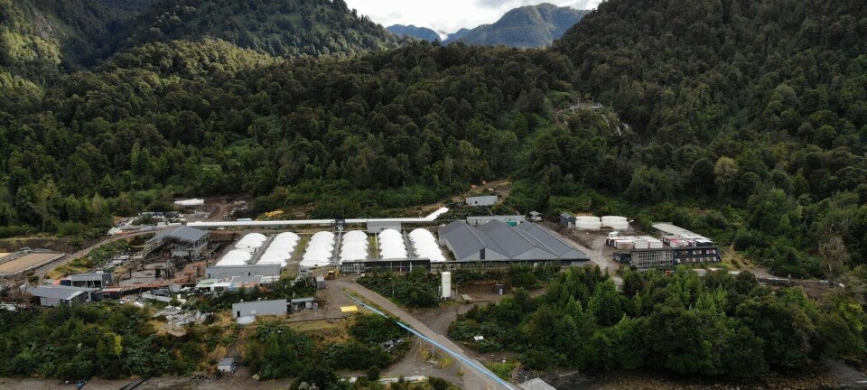 Dos productores de salmón se ubican entre los más sostenibles según revista Time