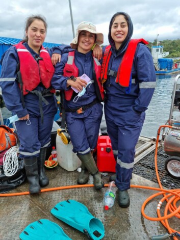 Guillermina Bustamante, Maribel Bustamante y Rosa Bustamante. Foto: Cedida. Guillermina Bustamante, Maribel Bustamante y Rosa Bustamante. Foto: Cedida.