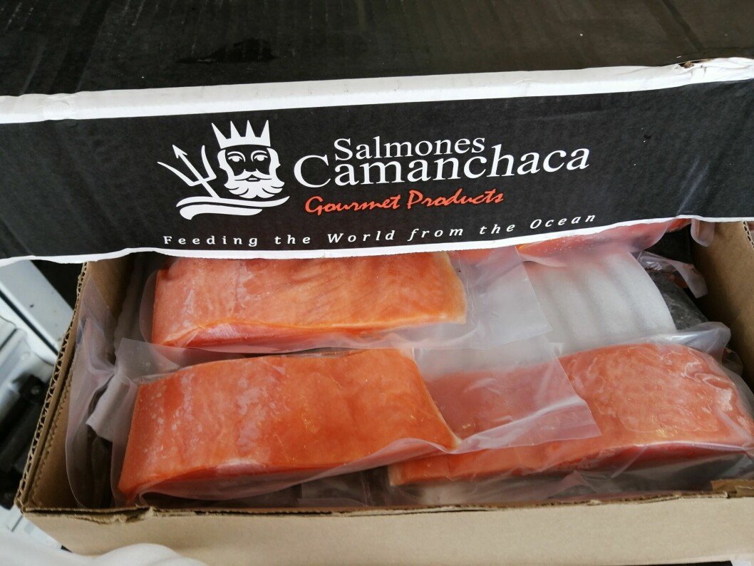 Productos de Salmones Camanchaca.