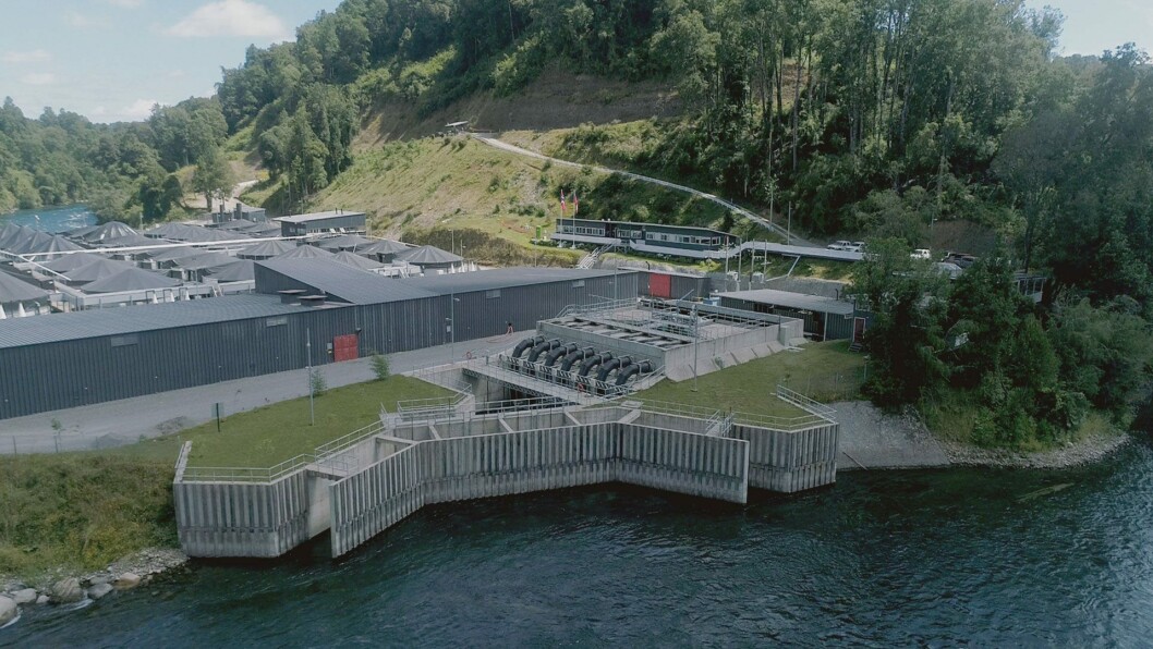Planta de Ecosalmon en el Río Bueno, de flujo abierto y con una capacidad de 10.000 metros cuadrados en incubación, alevinaje y smolt. En su diseño, desde la empresa expresan que han intentado impactar lo menos posible en el ecosistema, protegiendo especies nativas e implementando un plan de reforestación de especies endémicas como son raulíes, chilcos rnanos y maitenes Planta de Ecosalmon en el Río Bueno, de flujo abierto y con una capacidad de 10.000 metros cuadrados en incubación, alevinaje y smolt. En su diseño, desde la empresa expresan que han intentado impactar lo menos posible en el ecosistema, protegiendo especies nativas e implementando un plan de reforestación de especies endémicas como son raulíes, chilcos rnanos y maitenes
