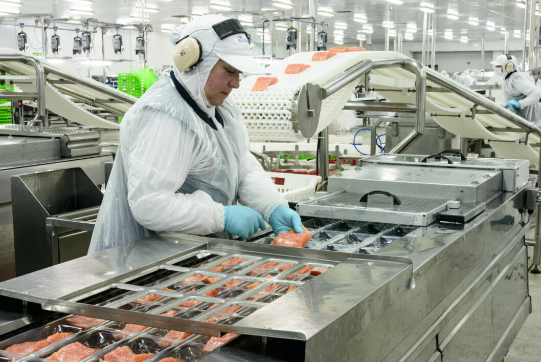 Planta de proceso de salmones de Blumar. Foto: Blumar. Planta de proceso de salmones de Blumar. Foto: Blumar.