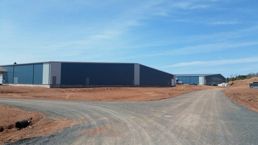 La instalación de reproductores de Rollo Bay, a la izquierda, y el centro de engorda de 250 toneladas, que se reutilizará para la producción de ovas. Foto: AquaBounty.