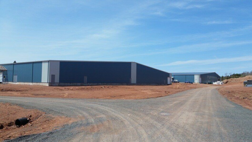 La instalación de reproductores de Rollo Bay, a la izquierda, y el centro de engorda de 250 toneladas, que se reutilizará para la producción de ovas. Foto: AquaBounty. La instalación de reproductores de Rollo Bay, a la izquierda, y el centro de engorda de 250 toneladas, que se reutilizará para la producción de ovas. Foto: AquaBounty.