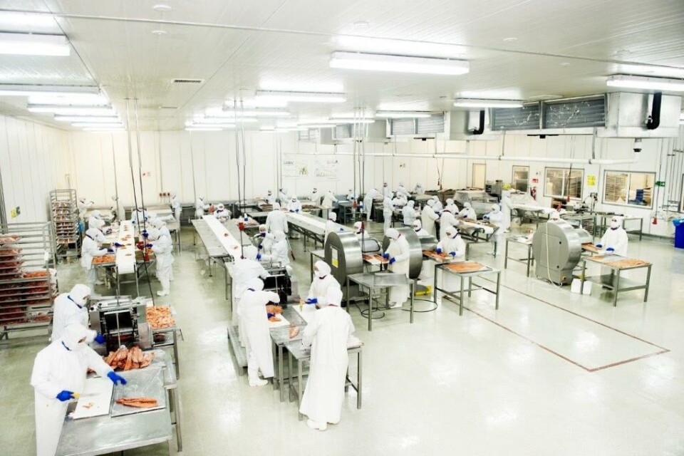 La empresa implementará monitores, señalética y programas de capacitación para reforzar aún más la cultura de gestión de residuos. Foto: Multiexport Foods.
