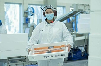 Productora de salmón es la primera en el mundo en usar cajas de poliestireno reciclado