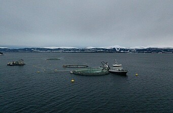 Productora noruega prueba nueva tecnología de cultivo cerrado en mar