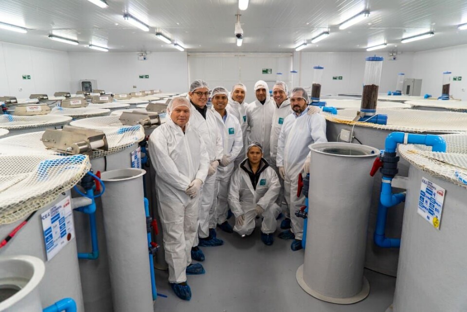 Una delegación de nueve clientes sudamericanos de Vitapro realizó una visita a la región de Los Lagos. Foto: Salmofood.