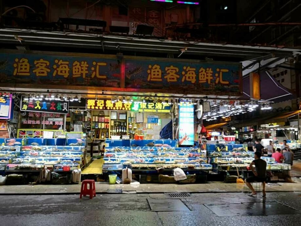 Mercado seafood de Pekín, uno de los más grandes de China. Foto: Cedida.
