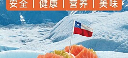 Productores de salmón chileno activan campaña de marketing en China