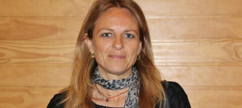 Estudio: 87% de los brasileños asocian salmón de Chile a un producto saludable y de calidad