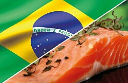 Por Covid-19: Exportaciones seafood a Brasil contarán con certificación en línea