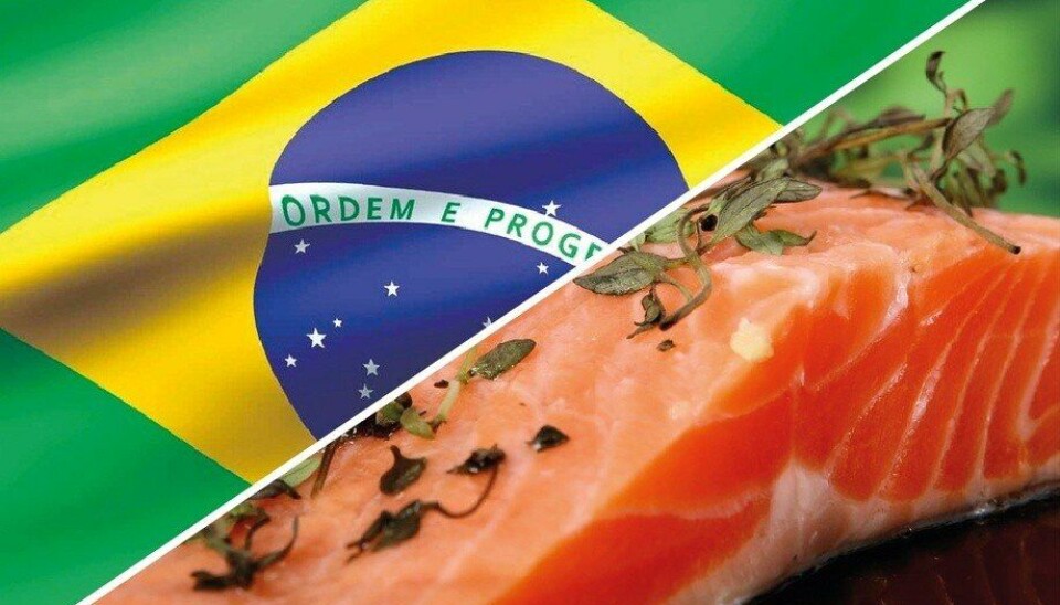 ¿Es un riesgo real para Chile que Brasil se haya abierto al salmón noruego?