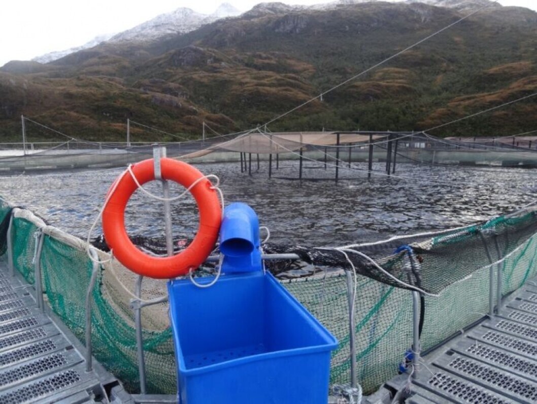La producción de salmones más allá de lo autorizado se considera una falta grave. Foto: SMA. La producción de salmones más allá de lo autorizado se considera una falta grave. Foto: SMA.