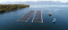 Programa que potencia a proveedores acuícolas de Aysén readecúa su funcionamiento