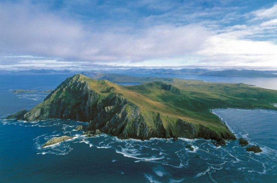 Imagen referencial de Cabo de Hornos. Foto: VisitChile.