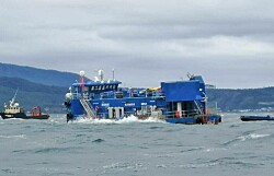 Proponen que balsas jaulas de salmón sean inscritas ante Autoridad Marítima