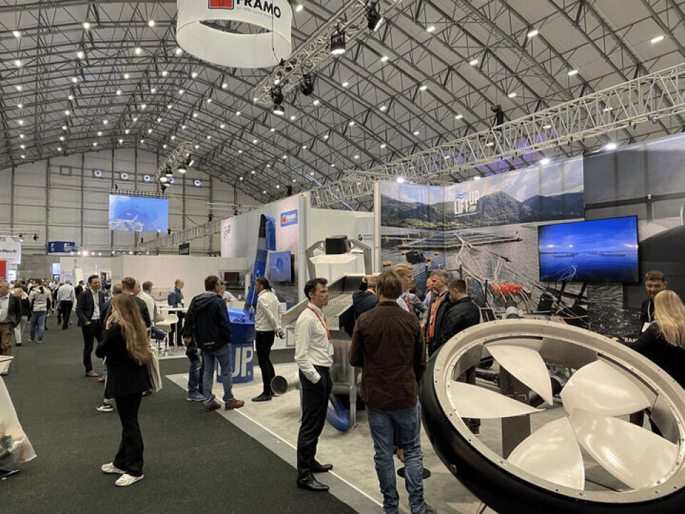 Feria HavExpo. Foto: Salmonexpert. Feria HavExpo. Foto: Salmonexpert.