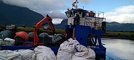 Proveedores acuícolas se unen para acelerar limpieza del borde costero en Aysén