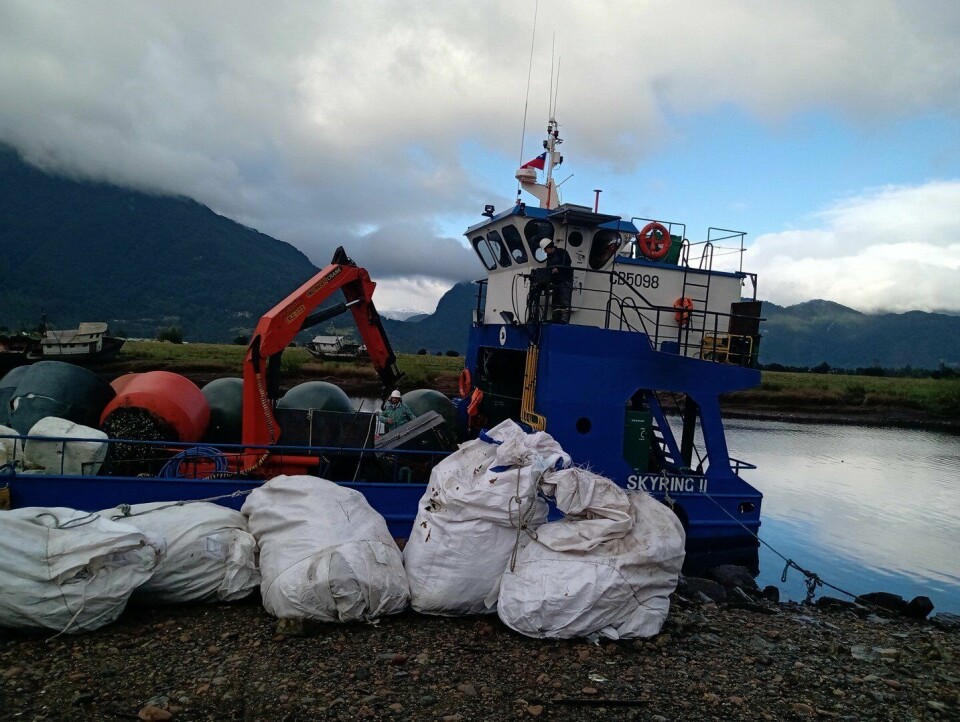 Gran parte de los residuos encontrados en las costas de la región de Aysén corresponde a material utilizado por salmonicultura y mitilicultura. Foto: Reciclaje Martino.