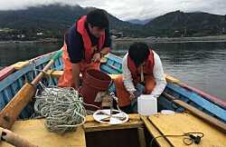 Proyecto binacional busca comprender origen de las FAN en el litoral chileno