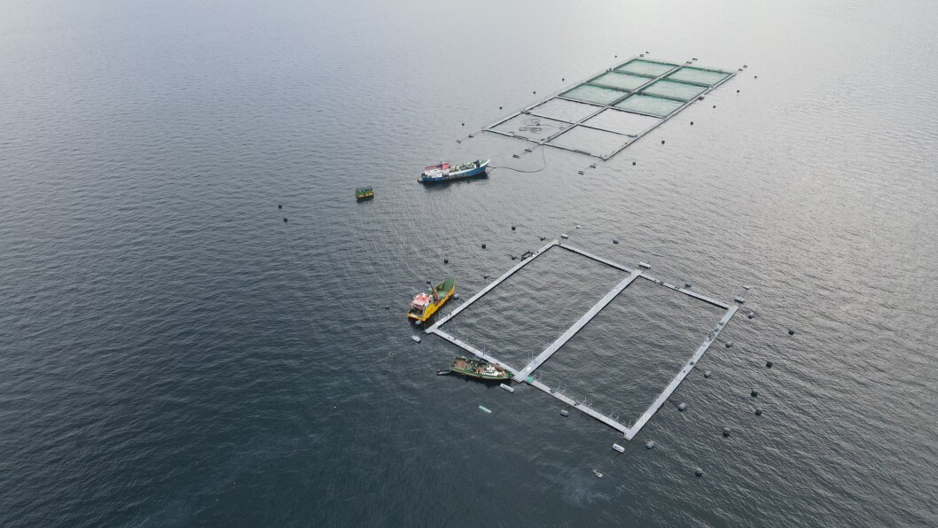Jaula de 80x80 metros en Quillaipe lista para recibir peces. Foto: Consorcio Acuícola. Jaula de 80x80 metros en Quillaipe lista para recibir peces. Foto: Consorcio Acuícola.