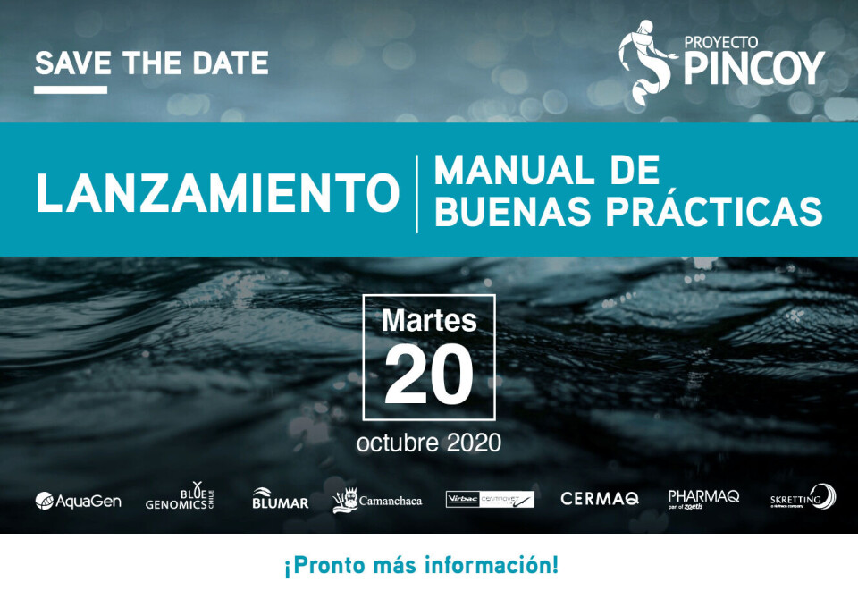 Imagen: Proyecto Pincoy.