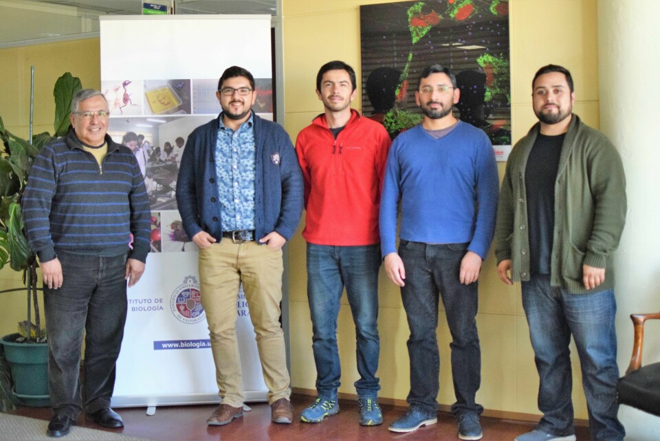 Investigadores participantes en el proyecto, Sergio Marshall, Fernando Gómez, Nicolás Ojeda, Martín Galaz y Óscar Arredondo. Foto: PUCV.