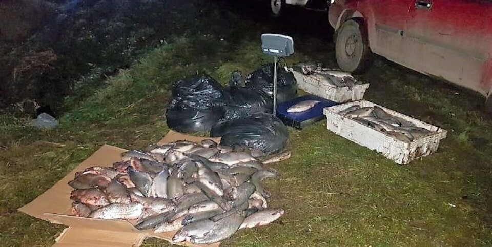 Foto: Diario Aysén.
