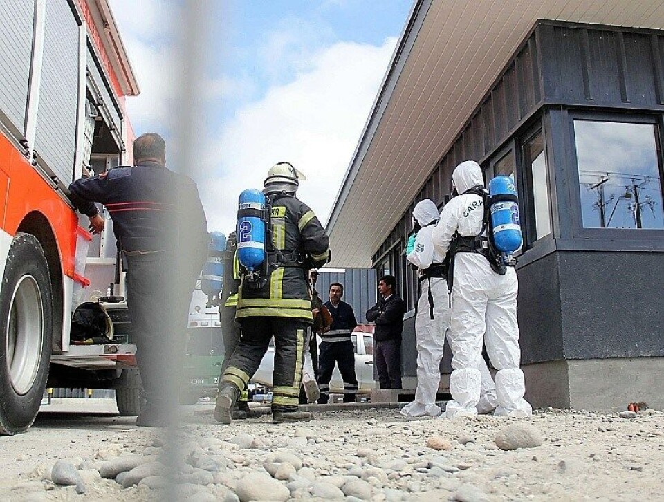 Foto: Nicole Hernández, diario El Llanquihue.
