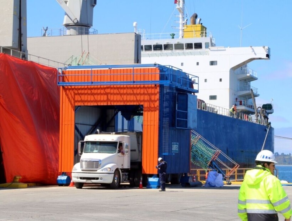 Puerto Oxxean pretende convertirse en el mayor terminal del sur