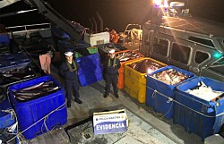 Quellón: Armada incauta 25 toneladas de salmón
