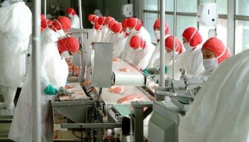 TTP11 reduciría aranceles para salmón chileno en mercados asiáticos