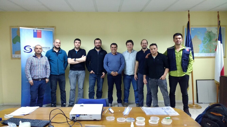 La capacitación se realizó con nueve funcionarios de la dirección regional del Sernapesca Aysén. Imagen: Dr. Ruben Avendaño-Herrera.