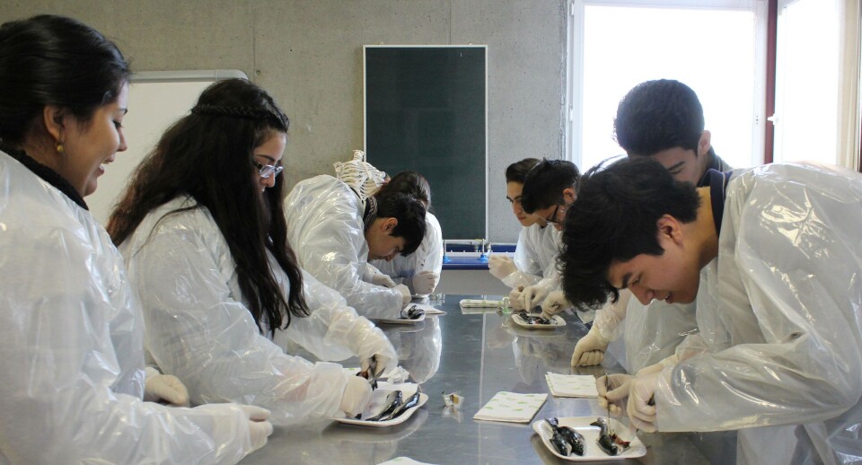 Los alumnos de la especialidad de Acuicultura del Liceo María Behety. Foto: Asociación de Productores de Salmón de Magallanes.