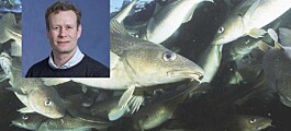 Noruega busca cómo avanzar en su diversificación acuícola