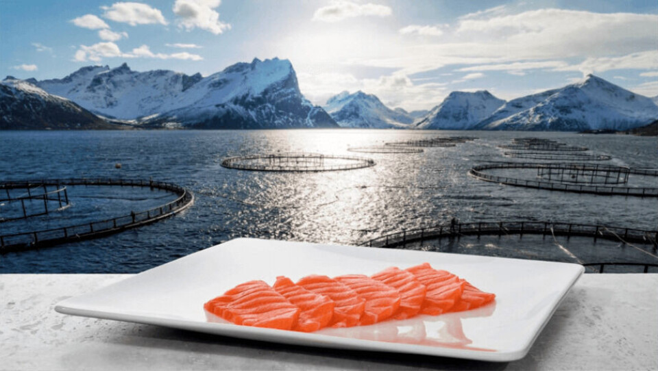 Las exportaciones de salmón noruego han llenado un vacío en los estantes del Reino Unido causado por una menor producción en Escocia. Foto: Norwegian Seafood Council.
