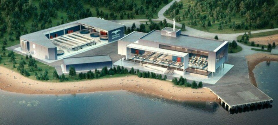 Rechazan centro de cultivo cerrado que produciría 30 mil toneladas de salmón